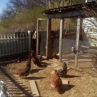 Papaws Chicken Ranch