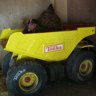 Wheeler Farms Chickens