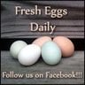 Fresh Eggs Dail