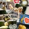 Duck Lover3000