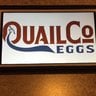 QuailCo Eggs