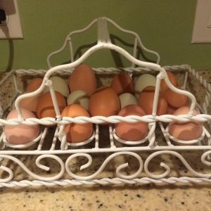 Some of my eggs