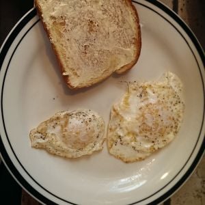 Standard vs Bantam Egg Size