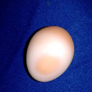 odd eggs