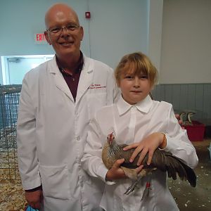 2011 Inverness, Florida show.My daughter, Kaycee and judge Rip.
Her standard phoenix pullet won BB,BV ,Class and Champion LF.