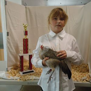 2011 Inverness,Fl show. My daughter, Kaycee and her pullet showing off 
Their Champion trophy.