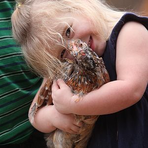 Hug a chicken!