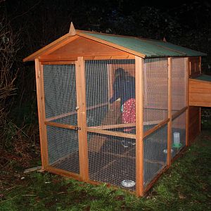 Our coop, it's a castle to our little Serama's. But we plan to get more chickens so it's ok