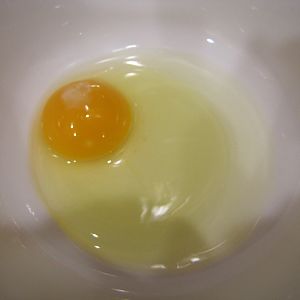 First egg omelette time!