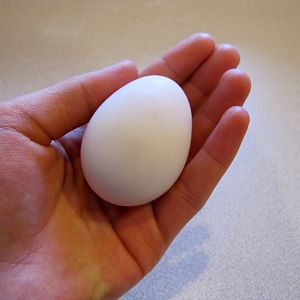 Sandy's first egg!