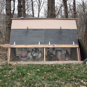 Our chicken Tractor.  It is easy to clean and care for, but on the heavy side to move.  Perches and nest boxes are up top.  There is a ramp that can be hoisted up and locked at night, protecting the birds is anything was to dig under.  We built it a year and half ago, and so far it have been predator proof.  We have not lost a single bird yet to a predator.  We have racoons, opossums, coyote, mink, skunk, and many birds of prey.  Our biggest concern would be a stray domestic dog, that would most likely take the time to dig under.