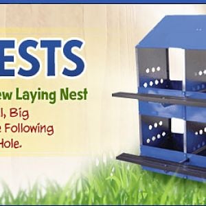 Chicken Laying Nest. We carry plastic, wooden and metal laying nests.