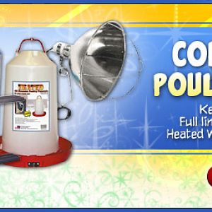Could weather poultry supplies. Keep your chickens with fresh water this winter with our Automatic Heated Poultry Fount.