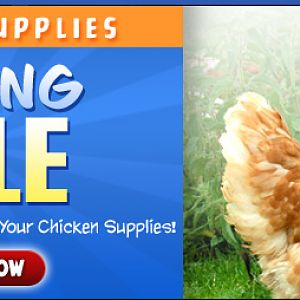 Spring Poultry Supply Sale. Savings up to 30% Off !