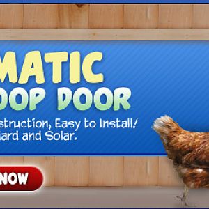 Automatic Chicken Coop Door. Heavy Duty All Weather Construction. Best Seller !