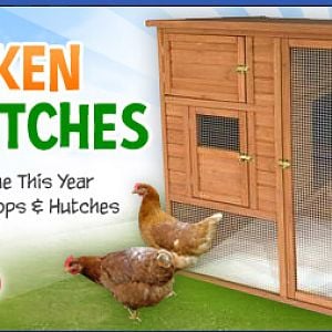 Wooden Chicken Coops and Hutches.