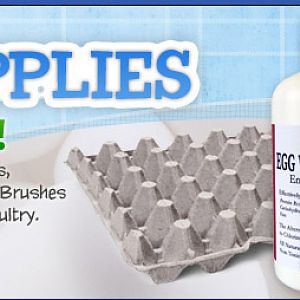 Egg Supplies Now on Sale. Egg Scales, Washers, Egg Cartons, Egg Trays and Brushes.