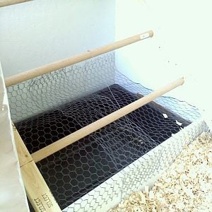 roosts with poop tray underneath