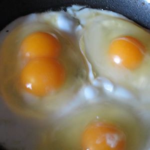 Eleanor's and Lucy's pullet eggs.  Eleanor did a double yolk!
