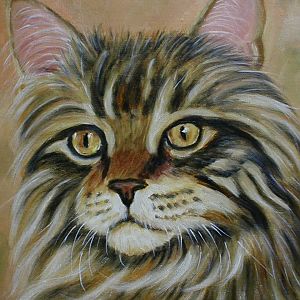 Oil of tabby cat