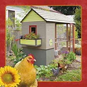 City Chickens and their Coops - 2013 Wall Calendar © 2012 Amber Lotus Publsihing