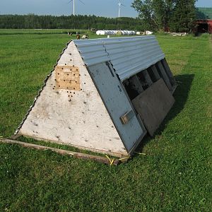 I have two of these coops for broilers it is 5x16 and has no bottom for the birds to eat grass