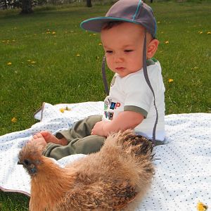 May 2012

My Grandson & My Silkie named Potiche