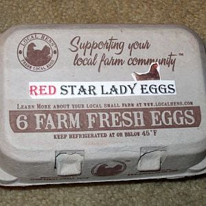 Protype of my egg carton (to give away my eggs to friends and co-workers).