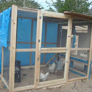 The caged area is done, but we need to work on the coop section as well as the nesting area.  The ladies need some privacy.