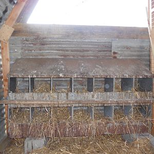 Nesting boxes on back wall