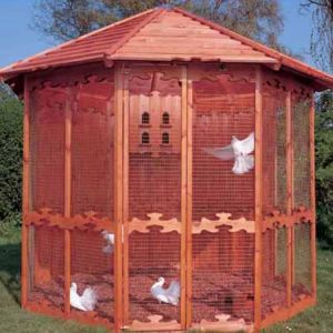 Future Project I would like to build. Only mine will be 12'x12' have only 3 sides screened with 5 larger nest boxes on the remaining panels (app.100sq.ft.)