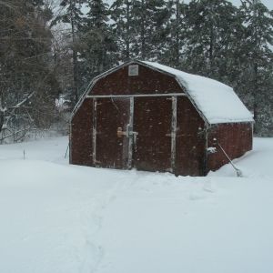 Picture of blustery day outside the loft (baby barn) on December 28th 2012.