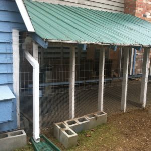 This is our covered run; It is 4' tall on the short side and 8' tall on the high side, total size is 8x16'. The coop roof had rainwater running off into the run, so my DH installed a rain gutter on that side of the coop.