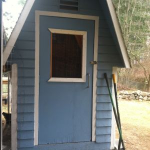 This is the coop, it's a 5x7' shed with ventilation front and back under the eaves, 2 pop doors (one on either side of the coop), and a man size door for cleanout. There are 2 nest boxes on the back of the coop for easy egg access and 2 7'long roosts in the coop.