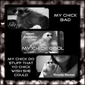 Based off the My Chick Bad song x)

My chicks cool :)