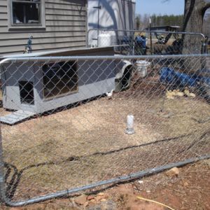 Chicken / Duck coop....actually a condo for them, plate glass window, internal light and heater, roosts, nesting boxes, roof opens in 2 pieces (oneside for nesting boxes and other to cleanout window/roost area