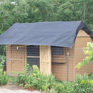 2nd chicken area/coop with shade tarp for summer
