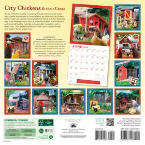 Seeking 12 Cute - Coops for our 2015 Calendar. See our submission guidelines. http://amberlotuspublishing.wordpress.com/2013/04/16/calling-all-city-coop-owners-we-want-to-feature-your-coop/