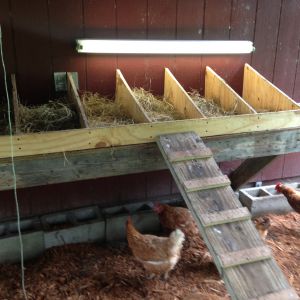 Brooders, nesting boxs