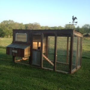 The tractor coop we built out of repurposed, reclaimed materials.