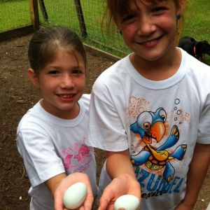Our first eggs from our Easter Egg chickens!!  Waiting on the rest to start laying.