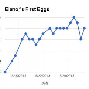 Elanor's first eggs.  Buff Brahma Bantam.  18 weeks old.