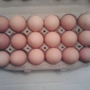 18 eggs from my barnyard mix birds.