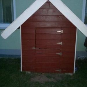 The children playhouse that was purchased on ebay for 15$ and recycled into the coop.