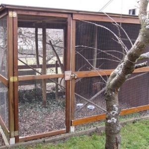 The cage that was purchased on ebay and recycled into the chicken run.  Wooden roof was replaced with plexyglass sheet.  It was used to keep squirrels.  And I thought I was strange...