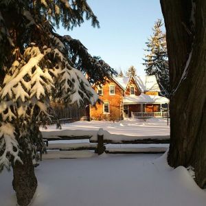 Life on 10 Acres in Springwater
