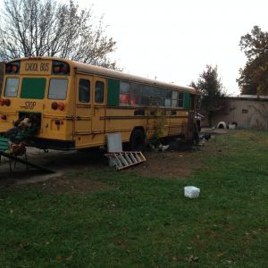 Back view of bus with chickens coming out.