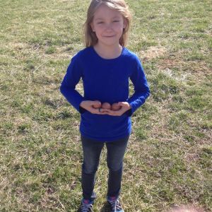 Skylar collecting some eggs from her cuckoo marans