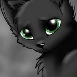 The one and only..... RAVENPAW!