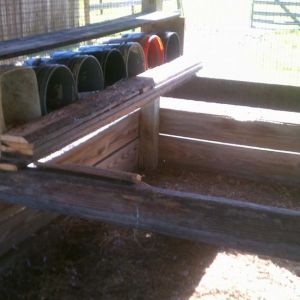 New laying bins. I used all reclaimed wood and buckets. Didn't spend a dime (well, except for nails:)